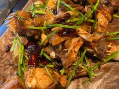 -浩运·海鲜青岛菜·海胆水饺(石老人店)