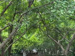 -白马涧龙池景区