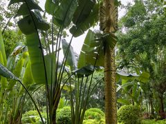 -西双版纳融创皇冠假日度假酒店