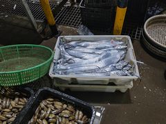 -众彩物流水产市场