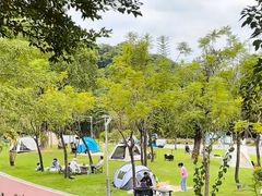 -飞凤山奥体公园