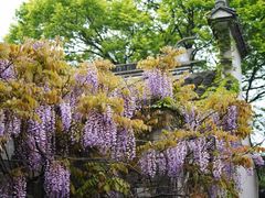 -惠山古镇·寄畅园