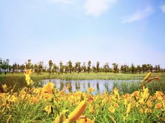 -春花秋色城市公园