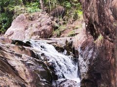 -广州白江湖森林公园