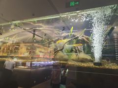 -姑苏二十四集(iD PARK 歌林公园店)
