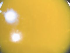 -真利味·脊骨火锅·正宗韩国料理(韩乐坊店)