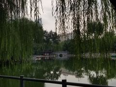 -莲湖公园