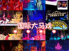 -广州长隆国际大马戏