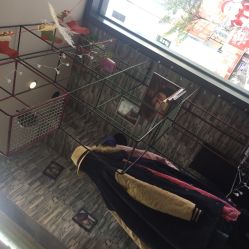 -MG Style Salon