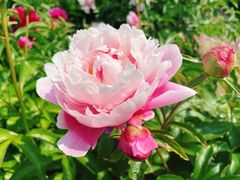 -长春公园(普阳街道)