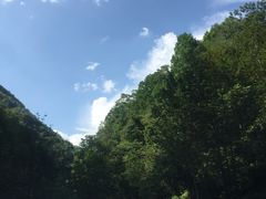 -望天鹅景区