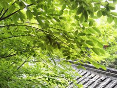 -苏皖边区政府旧址纪念馆