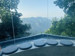 -南山植物园