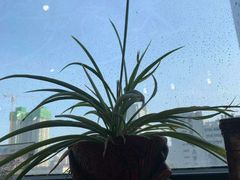 -A380视光·蔡司眼镜店(锦艺城店)