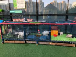 -可可天空农场(中大店)
