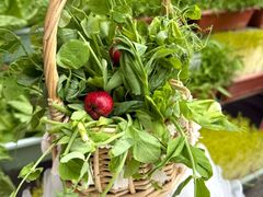 -赵美丽·重庆社区火锅·直营店(火车东站·中豪国际店)