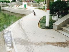 -陕西师范大学(雁塔校区)