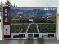 -秦始皇帝陵博物院-丽山园
