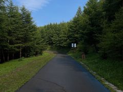 -红崖峡谷景区