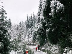景点-九峰山
