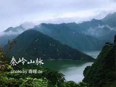 -黑河国家森林公园