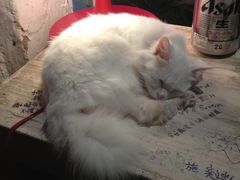 -Babycat私家御饼屋(龙头路一店)