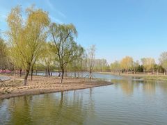 -东郊湿地公园