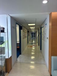 -杭州贝瑞斯美华妇儿医院·早孕·产检·儿科