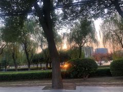 -艾溪湖湿地公园