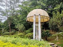 -广州国际生物岛山地公园揽胜园