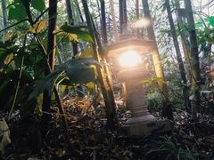 -杭州第一世界大酒店·云曼温泉