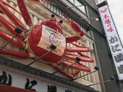 -蟹道乐(道顿堀本店)