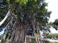 -船政文化景区-罗星塔公园