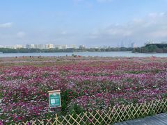 -海珠湖公园