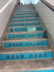 -阅年轻·AI家庭健康体质调理