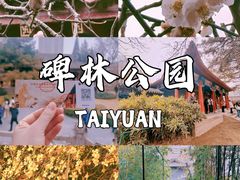 -碑林公园