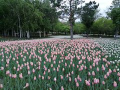 -长春公园(普阳街道)