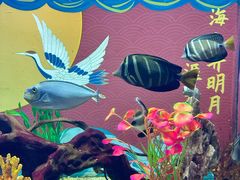 -烟台海昌鲸鲨海洋公园