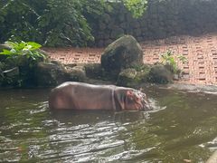 -海南热带野生动植物园