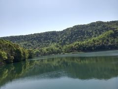 -桃花岭景区