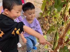 -井德幼儿园(泰达园)