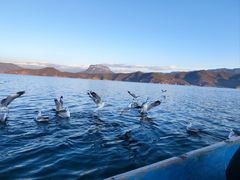 -丽江泸沽湖景区
