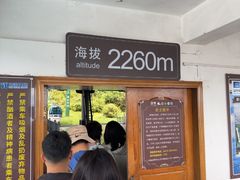-苍山感通索道