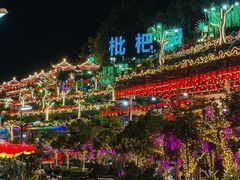 -枇杷园食为鲜火锅(南山店)