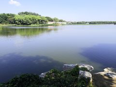 -大兴滨河森林公园