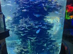 -泉城欧乐堡海洋极地世界