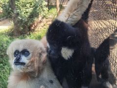 -石家庄市动物园