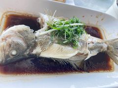 -云中小雅