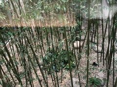 -真爱年华水疗健康运动中心(朱雀大街店)