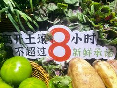 -海鸿荟·沿江菜(中山北路店)